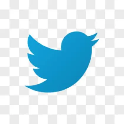 Twitter,2FA,(字符串，包含auth_token，2fa,cto)